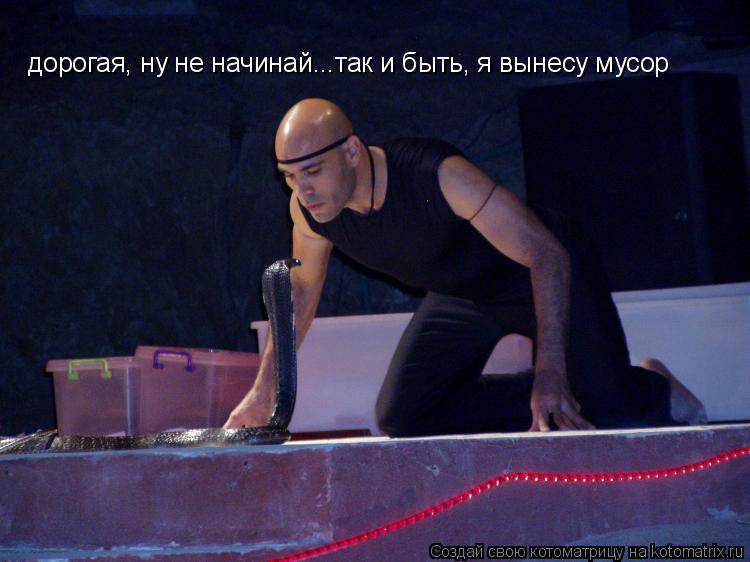 дорогая, ну не начинай...так и быть, я вынесу мусор... Котоматрица: дорогая, ну не начинай...так и быть, я вынесу мусор