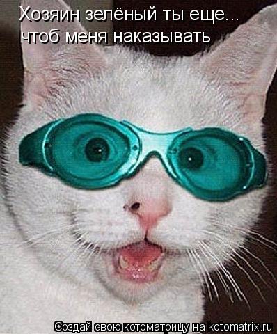 Хозяин зелёный ты еще... чтоб меня наказывать... Котоматрица: Хозяин зелёный ты еще... чтоб меня наказывать