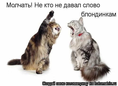 Молчать! Не кто не давал слово блондинкам... Котоматрица: Молчать! Не кто не давал слово блондинкам