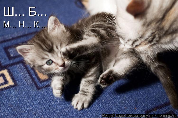 Ш... Б... М... Н... К...... Котоматрица: Ш... Б... М... Н... К...