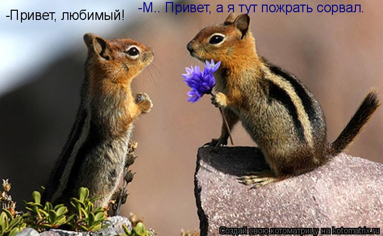 -Привет, любимый! -М.. Привет, а я тут пожрать сорвал.... Котоматрица: -Привет, любимый! -М.. Привет, а я тут пожрать сорвал.