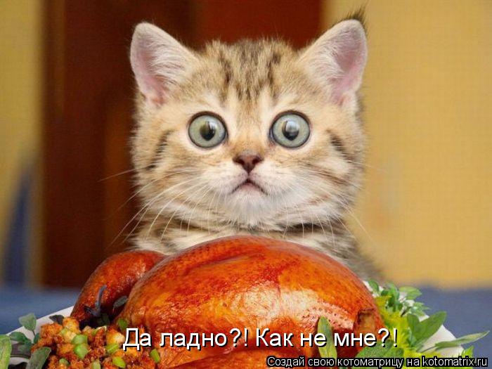 Да ладно?! Как не мне?!... Котоматрица: Да ладно?! Как не мне?!