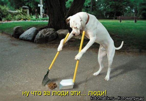 ну что за люди эти... люди!... Котоматрица: ну что за люди эти... люди!