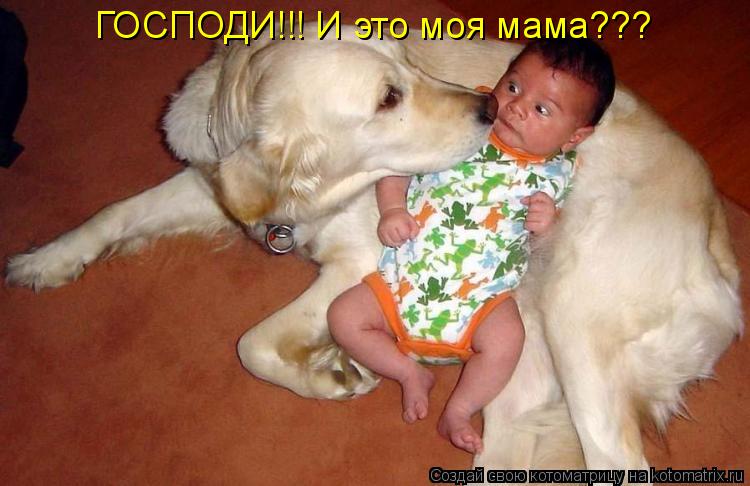 Котоматрица: ГОСПОДИ!!! И это моя мама???