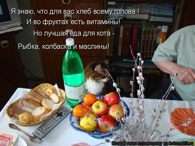 Я знаю, что для вас хлеб всему голова ! И во фруктах есть витамины! Но лучшая еда для кота - Рыбка, к... Котоматрица: Я знаю, что для вас хлеб всему голова ! И во фруктах есть витамины! Но лучшая еда для кота - Рыбка, колбаска и маслины!