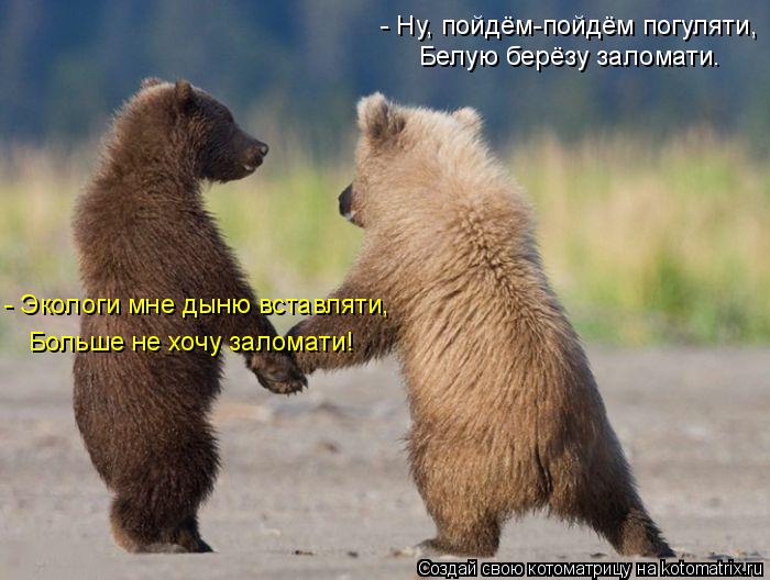 - Ну, пойдём-пойдём погуляти, Белую берёзу заломати. - Экологи мне дыню вставляти, Больше не хочу зал... Котоматрица: - Ну, пойдём-пойдём погуляти, Белую берёзу заломати. - Экологи мне дыню вставляти, Больше не хочу заломати!