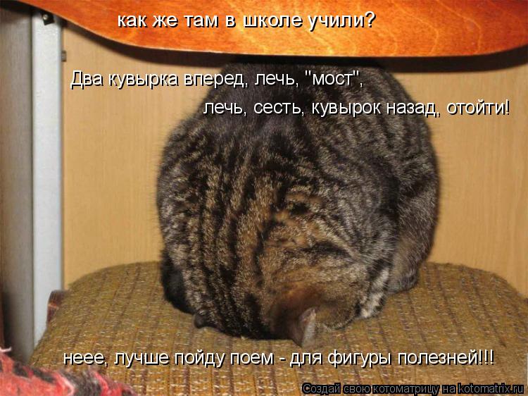 Два кувырка вперед, лечь, "мост", лечь, сесть, кувырок назад, отойти! неее, лучше пойду поем - для фи... Котоматрица: Два кувырка вперед, лечь, "мост", лечь, сесть, кувырок назад, отойти! неее, лучше пойду поем - для фигуры полезней!!! как же там в школе учили?
