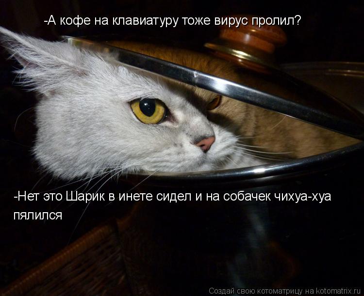 -А кофе на клавиатypy тоже виpyс пролил? -Нет это Шарик в инете сидел и на собачек чихуа-хуа пялился... Котоматрица: -А кофе на клавиатypy тоже виpyс пролил? -Нет это Шарик в инете сидел и на собачек чихуа-хуа пялился