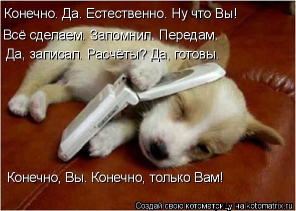Конечно. Да. Естественно. Ну что Вы! Всё сделаем. Запомнил. Передам. Да, записал. Расчёты? Да, го... Котоматрица: Конечно. Да. Естественно. Ну что Вы! Всё сделаем. Запомнил. Передам. Да, записал. Расчёты? Да, готовы. Конечно, Вы. Конечно, только Вам!