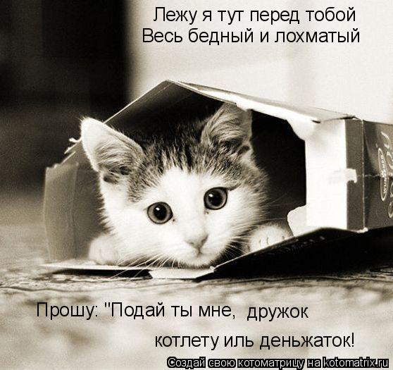 Лежу я тут перед тобой Весь бедный и лохматый котлету иль деньжаток! Прошу: "Подай ты мне, дружок... Котоматрица: Лежу я тут перед тобой Весь бедный и лохматый котлету иль деньжаток! Прошу: "Подай ты мне, дружок