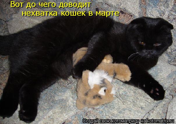 Вот до чего доводит нехватка кошек в марте... Котоматрица: Вот до чего доводит нехватка кошек в марте