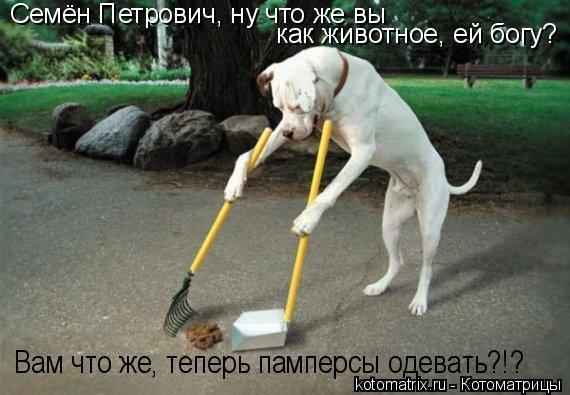 Семён Петрович, ну что же вы как животное, ей богу? Вам что же, теперь памперсы одевать?!?... Котоматрица: Семён Петрович, ну что же вы как животное, ей богу? Вам что же, теперь памперсы одевать?!?