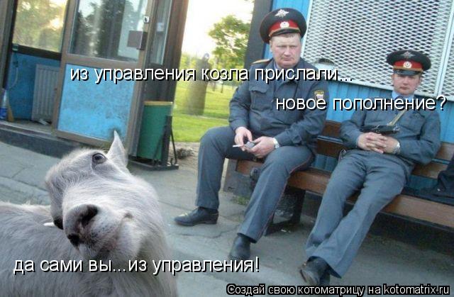 новое пополнение? из управления козла прислали... да сами вы...из управления!... Котоматрица: новое пополнение? из управления козла прислали... да сами вы...из управления!