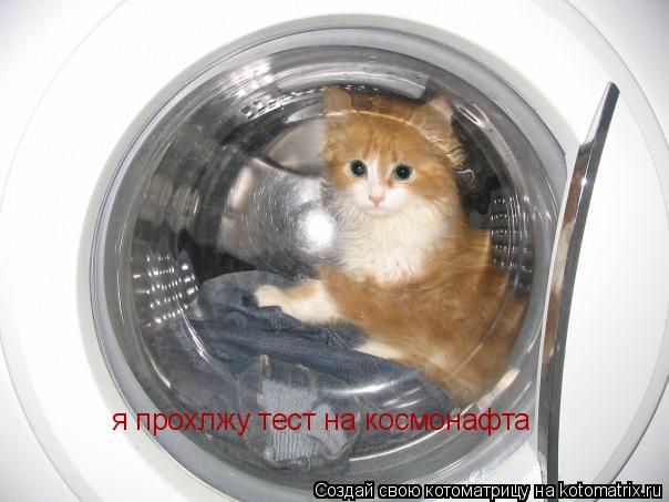 я прохлжу тест на космонафта... Котоматрица: я прохлжу тест на космонафта