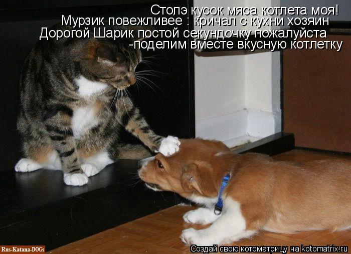 Стопэ кусок мяса котлета моя! Мурзик повежливее : кричал с кухни хозяин Дорогой Шарик постой секундоч... Котоматрица: Стопэ кусок мяса котлета моя! Мурзик повежливее : кричал с кухни хозяин Дорогой Шарик постой секундочку пожалуйста -поделим вместе вкусну