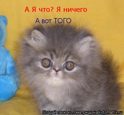 А Я что? Я ничего А Я что? Я ничего А вот ТОГО... Котоматрица: А Я что? Я ничего А Я что? Я ничего А вот ТОГО