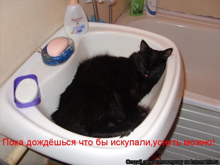 Пока дождёшься что бы искупали,уснуть можно!... Котоматрица: Пока дождёшься что бы искупали,уснуть можно!