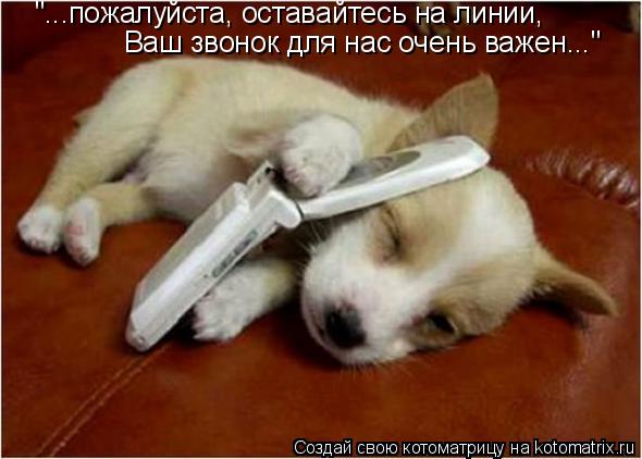 Ваш звонок для нас очень важен..." "...пожалуйста, оставайтесь на линии,... Котоматрица: Ваш звонок для нас очень важен..." "...пожалуйста, оставайтесь на линии,