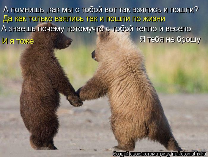 А помнишь ,как мы с тобой вот так взялись и пошли? А знаешь почему потомучто с тобой тепло и весело Я... Котоматрица: А помнишь ,как мы с тобой вот так взялись и пошли? А знаешь почему потомучто с тобой тепло и весело Я тебя не брошу Да как только взялись так и