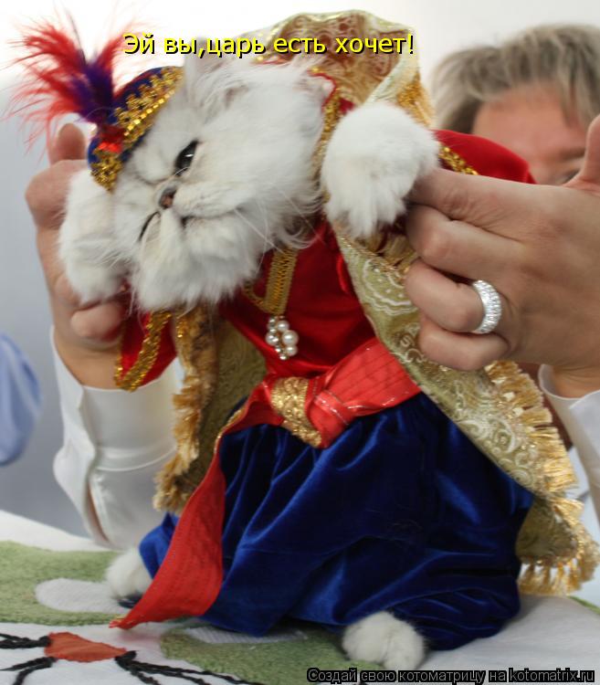 Эй вы,царь есть хочет!... Котоматрица: Эй вы,царь есть хочет!