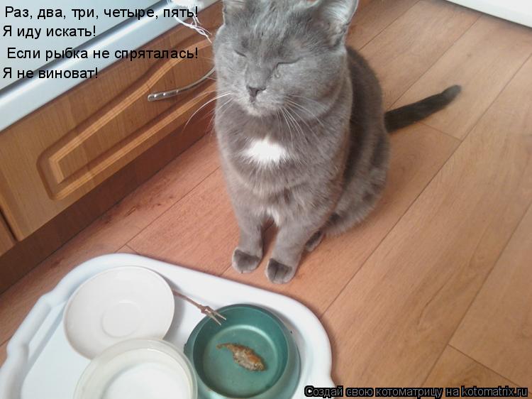 Раз, два, три, четыре Раз, два, три, четыре, пять! Я иду искать! Если рыбка не спряталась! Я не винов... Котоматрица: Раз, два, три, четыре Раз, два, три, четыре, пять! Я иду искать! Если рыбка не спряталась! Я не виноват!