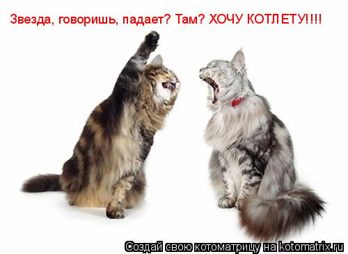 Звезда, говоришь, падает? Там? ХОЧУ КОТЛЕТУ!!!!... Котоматрица: Звезда, говоришь, падает? Там? ХОЧУ КОТЛЕТУ!!!!