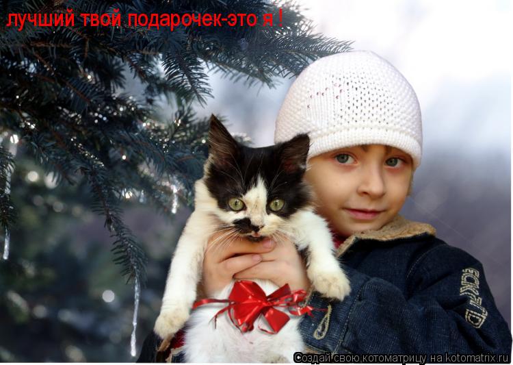 лучший твой подарочек-это я !... Котоматрица: лучший твой подарочек-это я !