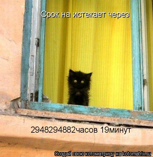 Срок на истекает через 2948294882часов 19минут... Котоматрица: Срок на истекает через 2948294882часов 19минут
