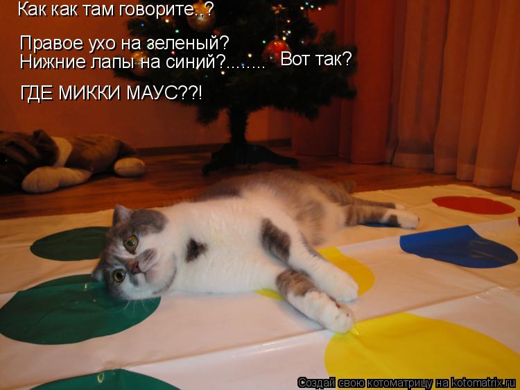 Правое ухо на зеленый? Как как там говорите..? Нижние лапы на синий?........ Вот так? ГДЕ МИККИ МАУС?... Котоматрица: Правое ухо на зеленый? Как как там говорите..? Нижние лапы на синий?........ Вот так? ГДЕ МИККИ МАУС??!