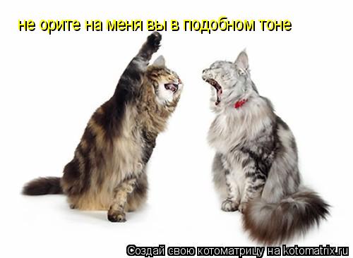 не орите на меня вы в подобном тоне... Котоматрица: не орите на меня вы в подобном тоне