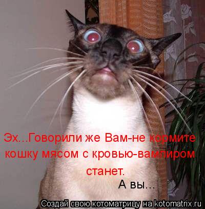 Эх...Говорили же Вам-не кормите кошку мясом с кровью-вампиром станет. А вы...... Котоматрица: Эх...Говорили же Вам-не кормите кошку мясом с кровью-вампиром станет. А вы...
