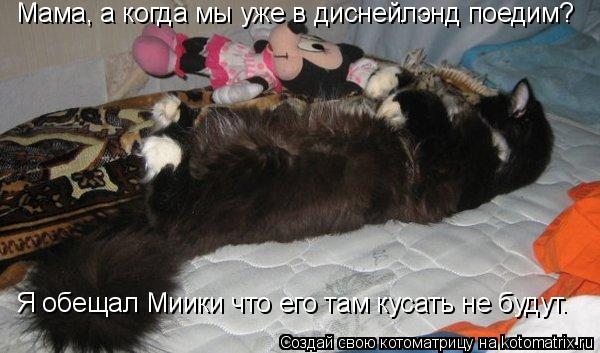 Мама, а когда мы уже в диснейлэнд поедим? Я обещал Миики что его там кусать не будут.... Котоматрица: Мама, а когда мы уже в диснейлэнд поедим? Я обещал Миики что его там кусать не будут.