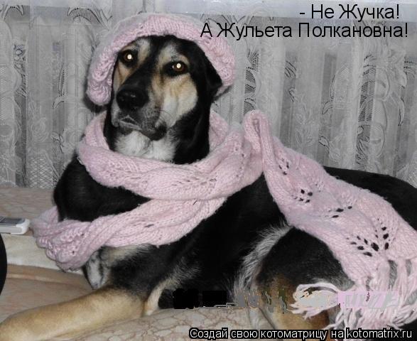 - Не Жучка! А Жульета Полкановна!... Котоматрица: - Не Жучка! А Жульета Полкановна!