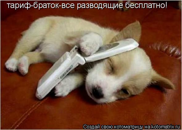 тариф-браток-все разводящие бесплатно!... Котоматрица: тариф-браток-все разводящие бесплатно!