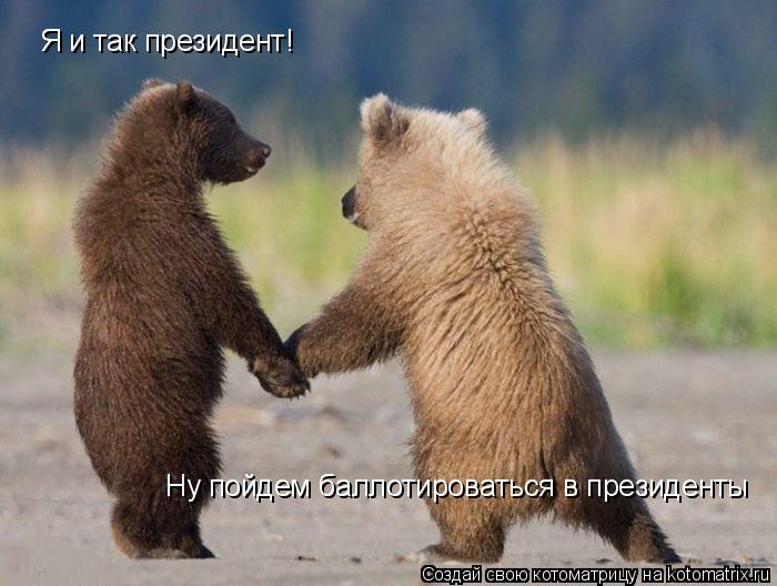 Ну пойдем баллотироваться в президенты Ну пойдем баллотироваться в президенты Я и так президент!... Котоматрица: Ну пойдем баллотироваться в президенты Ну пойдем баллотироваться в президенты Я и так президент!
