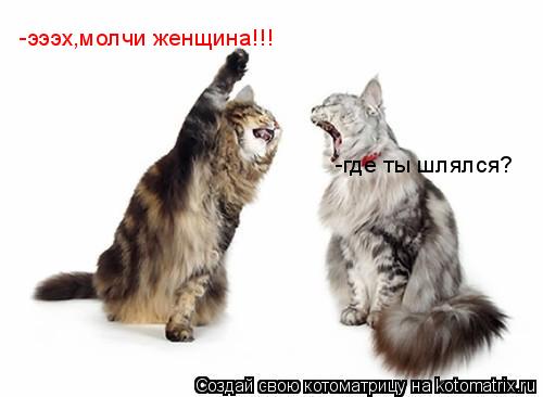 -где ты шлялся? -эээх,молчи женщина!!!... Котоматрица: -где ты шлялся? -эээх,молчи женщина!!!