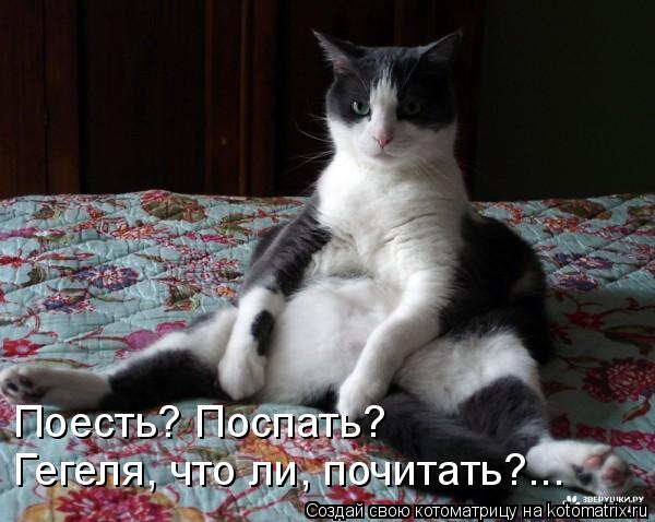 Гегеля, что ли, почитать?... Поесть? Поспать?... Котоматрица: Гегеля, что ли, почитать?... Поесть? Поспать?