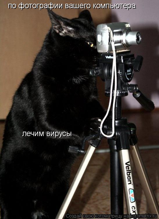 по фотографии вашего компьютера лечим вирусы... Котоматрица: по фотографии вашего компьютера лечим вирусы