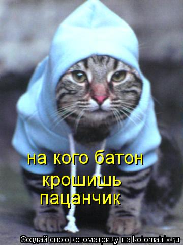 на кого батон крошишь пацанчик... Котоматрица: на кого батон крошишь пацанчик