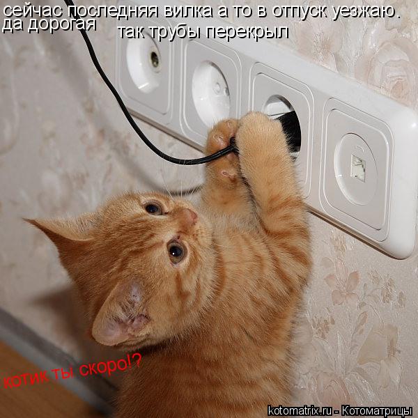 сейчас последняя вилка а то в отпуск уезжаю котик ты скоро!? да дорогая . так трубы перекрыл... Котоматрица: сейчас последняя вилка а то в отпуск уезжаю котик ты скоро!? да дорогая . так трубы перекрыл