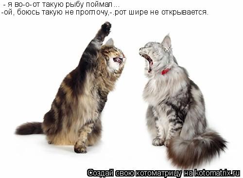 - я во-о-от такую рыбу поймал... -ой, боюсь такую не проглочу,-.рот шире не открывается.... Котоматрица: - я во-о-от такую рыбу поймал... -ой, боюсь такую не проглочу,-.рот шире не открывается.