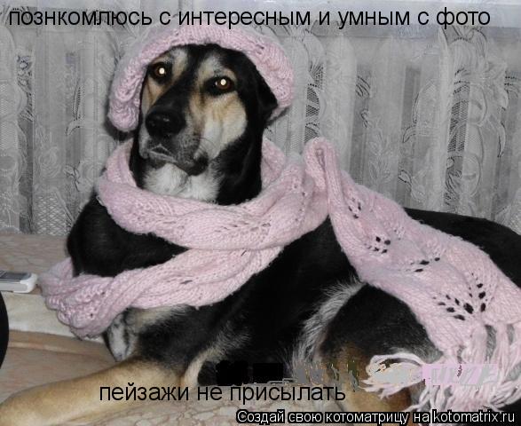 познкомлюсь с интересным и умным с фото пейзажи не присылать... Котоматрица: познкомлюсь с интересным и умным с фото пейзажи не присылать