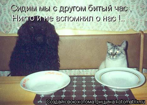 Сидим мы с другом битый час , Никто и не вспомнил о нас !..... Котоматрица: Сидим мы с другом битый час , Никто и не вспомнил о нас !..