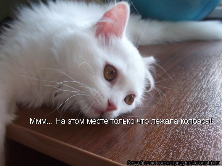 Ммм... На этом месте только что лежала колбаса!... Котоматрица: Ммм... На этом месте только что лежала колбаса!