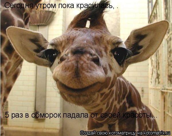 Сегодня утром пока красилась, . 5 раз в обморок падала от своей красоты...... Котоматрица: Сегодня утром пока красилась, . 5 раз в обморок падала от своей красоты...