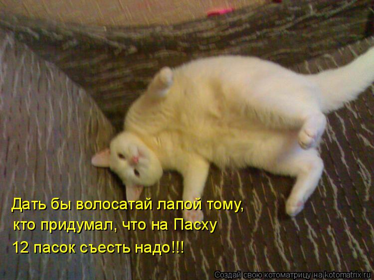 Дать бы волосатай лапой тому, кто придумал, что на Пасху 12 пасок съесть надо!!!... Котоматрица: Дать бы волосатай лапой тому, кто придумал, что на Пасху 12 пасок съесть надо!!!