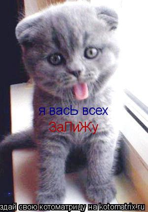 я васЬ всех я васЬ всех ЗаЛиЖу... Котоматрица: я васЬ всех я васЬ всех ЗаЛиЖу