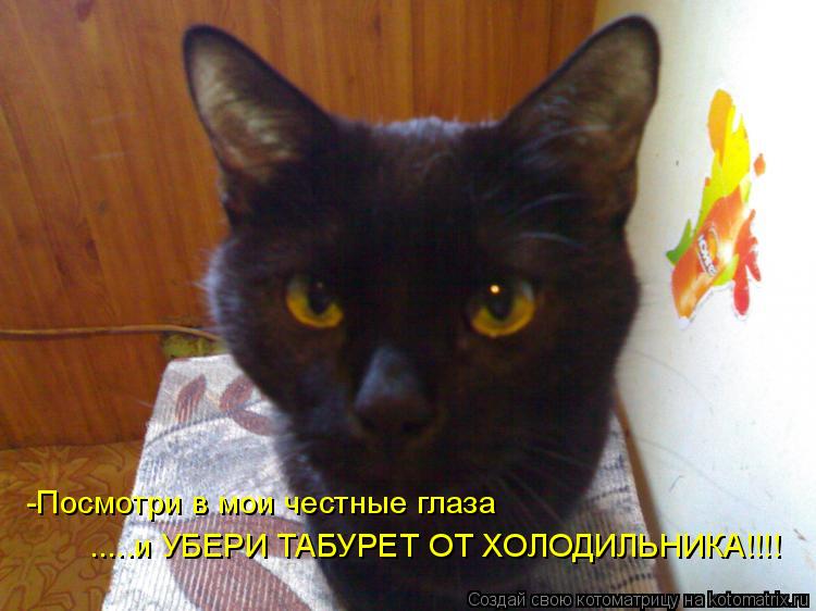 -Посмотри в мои честные глаза .....и УБЕРИ ТАБУРЕТ ОТ ХОЛОДИЛЬНИКА!!!!... Котоматрица: -Посмотри в мои честные глаза .....и УБЕРИ ТАБУРЕТ ОТ ХОЛОДИЛЬНИКА!!!!