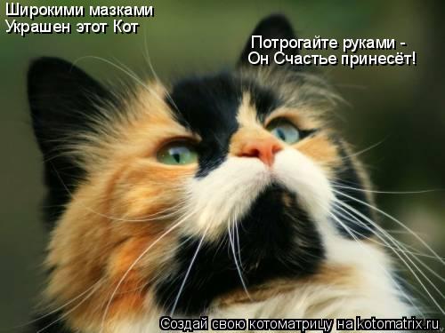 Широкими мазками Украшен этот Кот Потрогайте руками - Он Счастье принесёт!... Котоматрица: Широкими мазками Украшен этот Кот Потрогайте руками - Он Счастье принесёт!