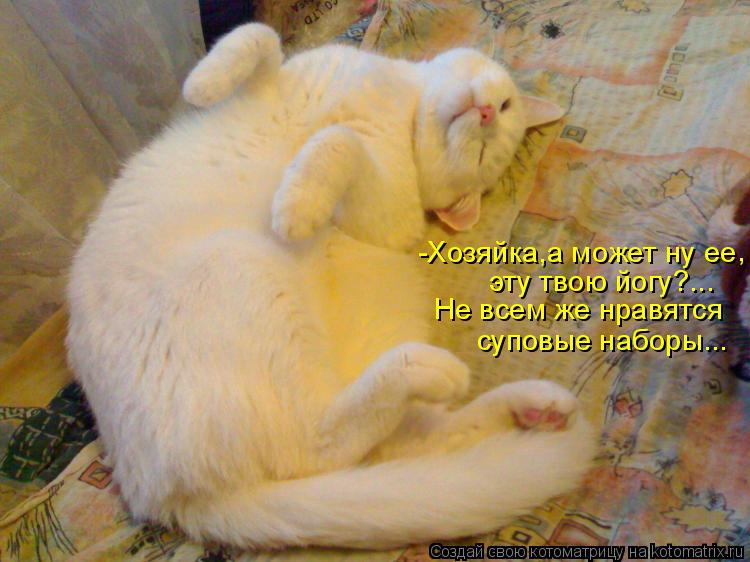 -Хозяйка,а может ну ее , эту твою йогу?... Не всем же нравятся суповые наборы...... Котоматрица: -Хозяйка,а может ну ее , эту твою йогу?... Не всем же нравятся суповые наборы...